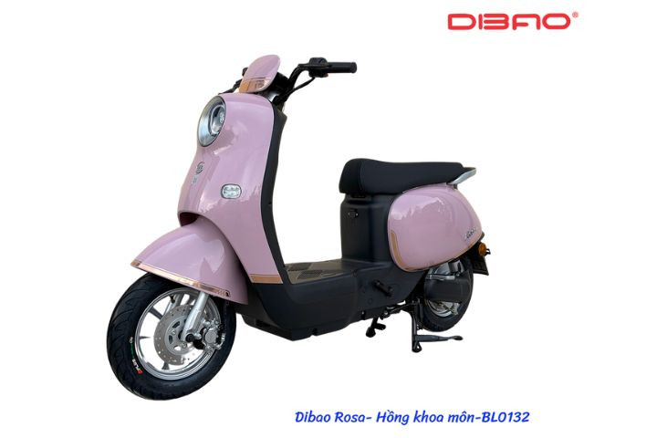 Dibao Rosa được trang bị hệ thống đèn LED siêu sáng, tuổi thọ cao